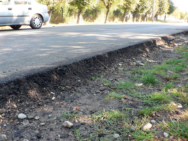 4 strat uzura str. Plt. Ghinita 1.jpg